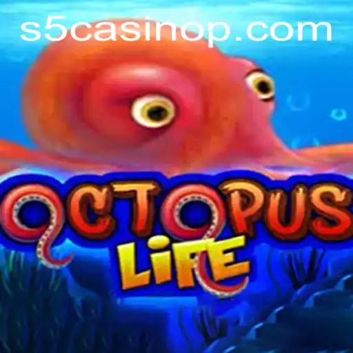 OctopusLife and the Intriguing World of S5 Casino: A Deep Dive