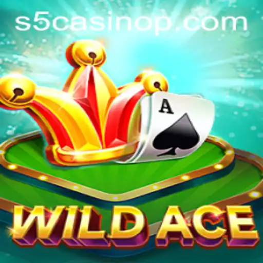 Exploring WildAce: The Latest Sensation in Online Gaming